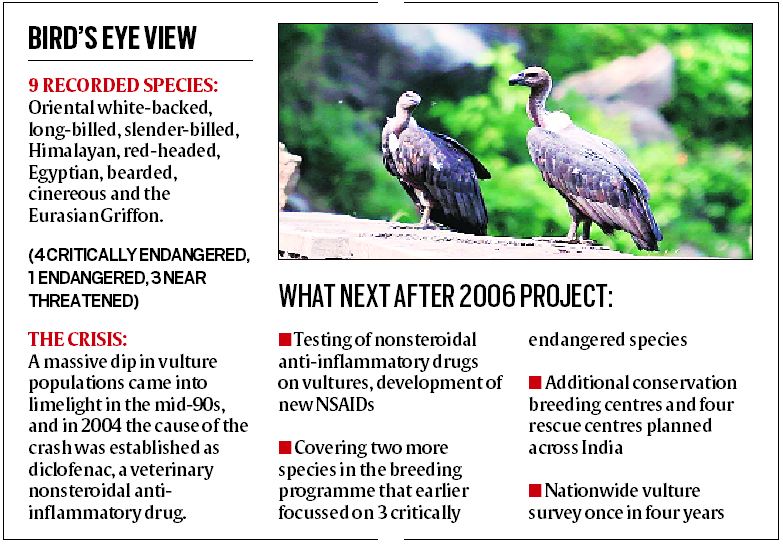 Conservation news on Vultures