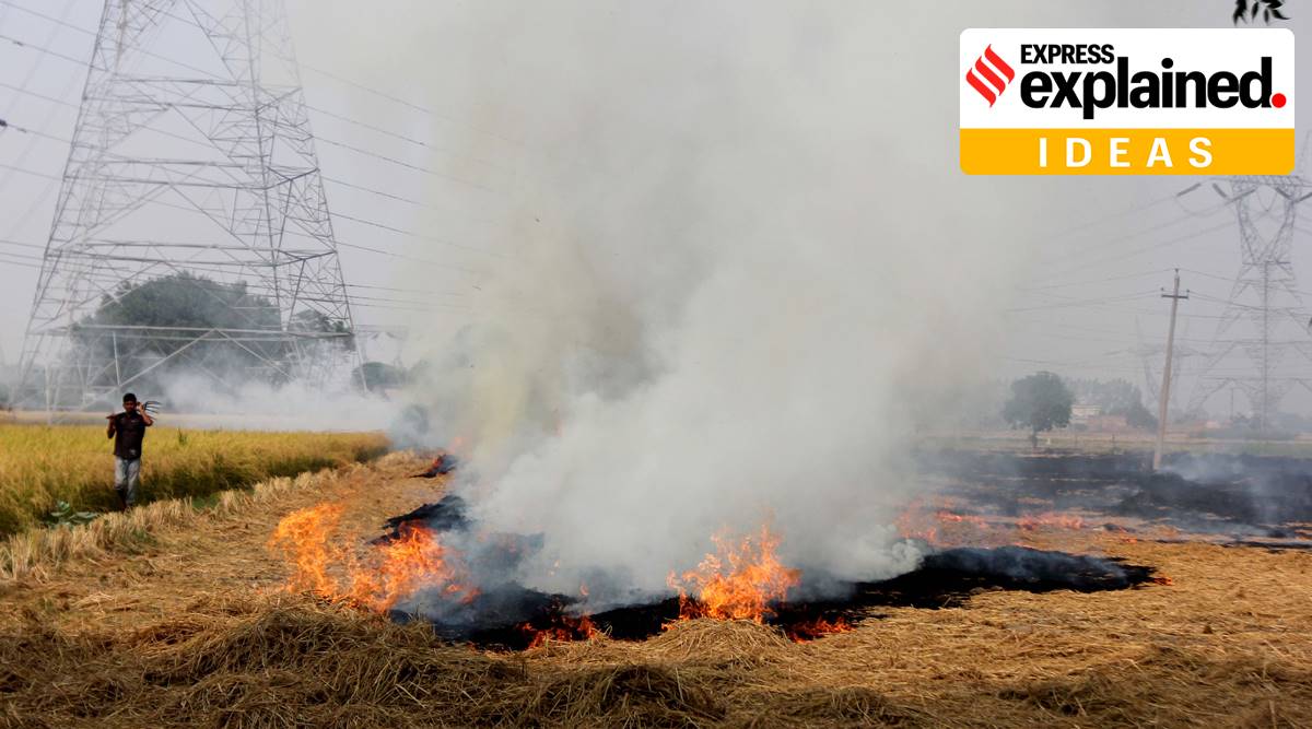 Stubble burning, air pollution, stubble farming, Punjab stubble farming, Punjab air pollution, Explained Ideas, Express Explained