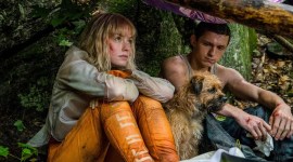 Chaos Walking, Chaos Walking trailer, tom holland, daisy ridley