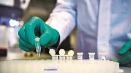 coronavirus, covid 19, covid 19 vaccine, coronavirus vaccine, india covid 19 vaccine, covid 19 vaccine human trials