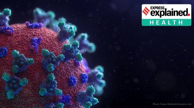 India has had more than 92 lakh cases and over 1.34 lakh deaths so far.