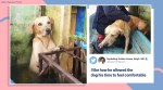 Mexico, Mexico floods, dog rescue Mexico floods, marine rescue Mexico floods, trending, indian express, indian express news