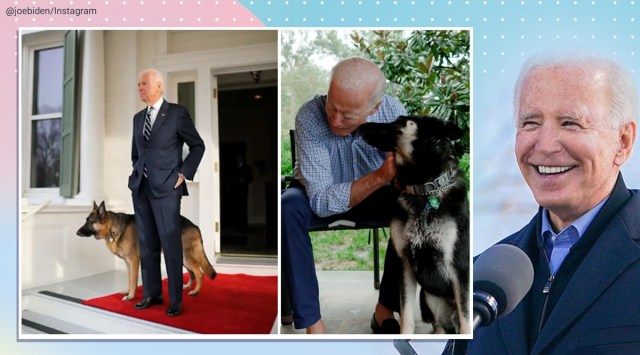 Four years on, Biden to bring ‘DOTUS – Dogs of the United States’ to ...