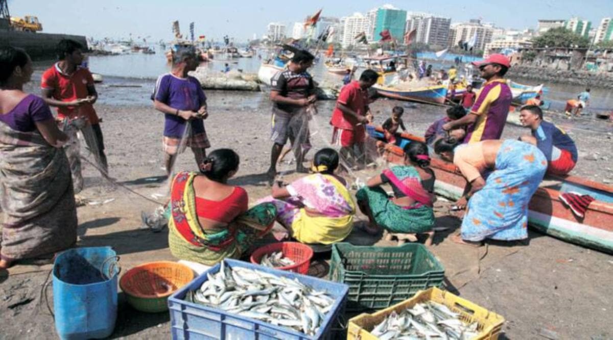 Mumbai coastal road project, Mumbai coastal road project fishing community, mumbai fishing community, mumbai coastal zone, mumbai city news