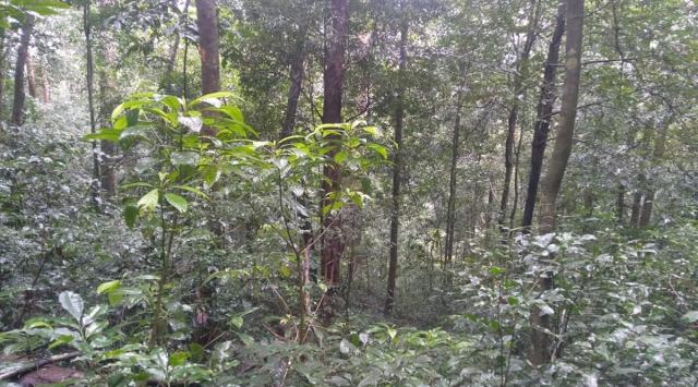 Environmentalists say the project will involve the construction of a 5.5 km-long and 3.65-m wide tunnel thereby render irreparable damage to a forest area already ecologically sensitive.