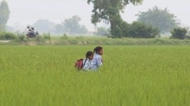 cbse, cbse.nic.in, cbse board exams, cbse board exam 2020, education news, cbse scholarship