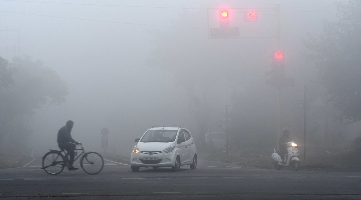 The weather department said cold to severe cold conditions are likely in Chandigarh during the next 24 hours and cold day conditions during subsequent 24 hours over the region.  (PTI Photo)
