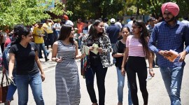 icai.org, icai ca november exam 2020, Institute of Chartered Accountants of India, education news