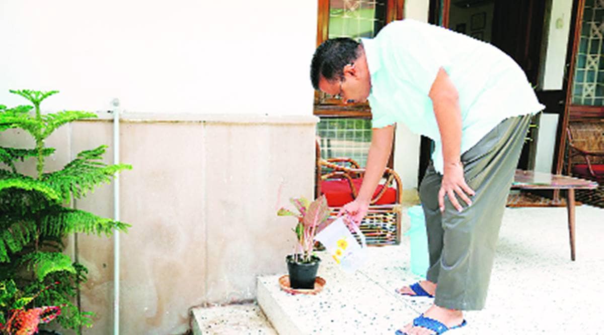 delhi dengue cases, delhi dengue, arvind kejriwal, kejriwal on dengue cases, delhi city news