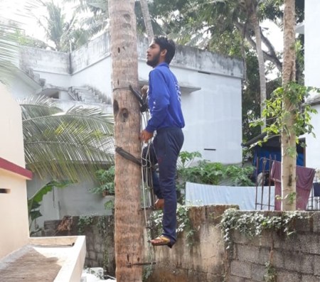 While traditional climbers use nothing but their feet and hands to clamber up and down the palms, today there are stilt-like machines to make the process much easier. (Express Photo)