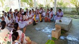 assam diwali, diwali cracker ban, hargila, hargila conservation efforts,Greater Adjutant Stork, assm news, indian express