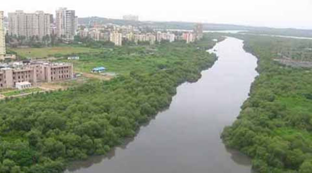 Mangrove Foundation writes to govt, says ensure BMC complies with CRZ clearance conditions