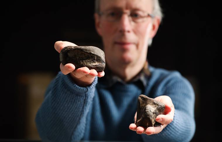 dinosaur bones antrim