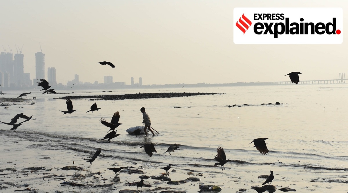 desalination plant, mumbai desalination plant, chennai desalination plant, desalination plant technology, Indian express