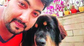 CHandigarh Pet dog missing, dog owner announces reward, CHandigarh news, Punjab news, Indian express news
