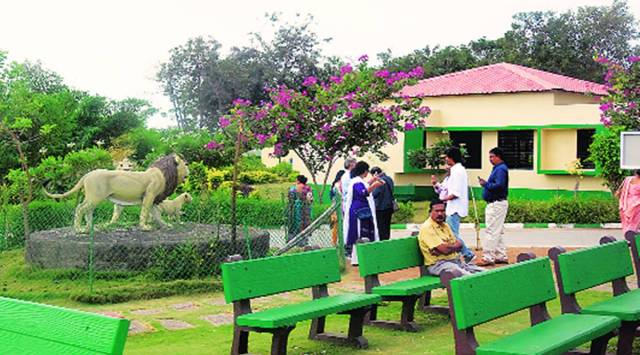 Gujarat: Over 1 lakh tourists visit Ambardi lion safari park in 3 years ...