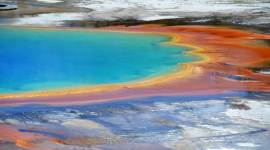 Yellowstone National Park, cooking at the Yellowstone National Park, man caught cooking chicken at Yellowstone National Park, indian express news