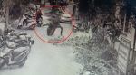 chennai, chennai police, chennai police viral video, Chennai cop trending, chennai cop mobile snatcher viral video, indian express,