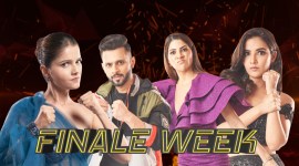 finale week, bigg boss 14