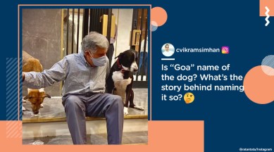 ratan tata, rata tata net worth, ratan tata dogs ratan tata street dogs viral pic, ratan tata instagram, ratan tata diwali photo, trending, indian express, indian express news