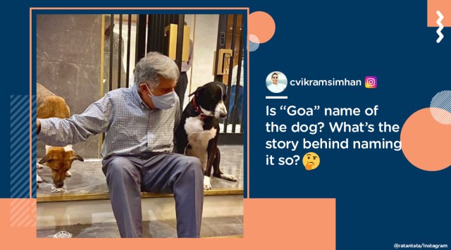 ratan tata, rata tata net worth, ratan tata dogs ratan tata street dogs viral pic, ratan tata instagram, ratan tata diwali photo, trending, indian express, indian express news
