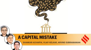 Permitting industrial houses to own banks could undermine economic growth and democracy