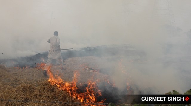 Experts expressed surprise over the rise in farm fires in Punjab, considering the fact that state had less stubble to manage this year — production of stubble has gone down by 15 per cent — and enough resources (74,000 stubble management machines this time) in hand. (Express Photo: Gurmeet Singh)