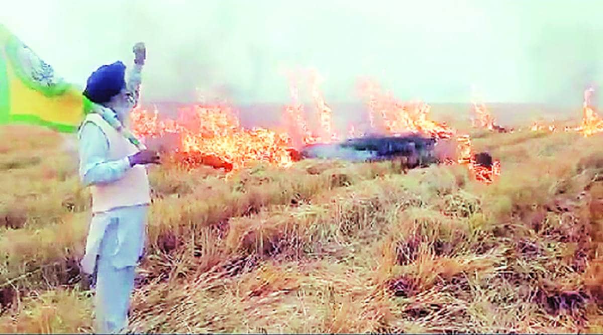 This harvesting season, farmers burning stubble, then uploading videos on social media tooThis harvesting season, farmers burning stubble, then uploading videos on social media too