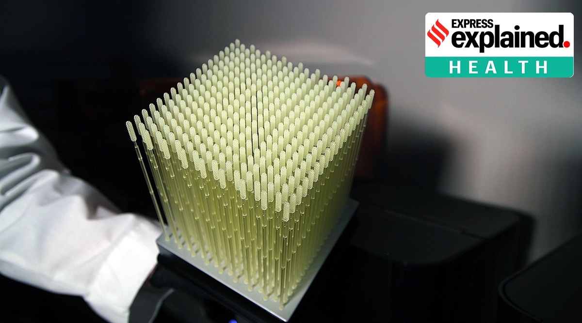 3D printed nasopharyngeal swabs developed by University of South Florida. (Source: Radiological Society of North America)