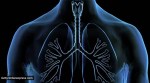 tracheostomy, tracheostomy procedure, what is tracheostomy, soumitra chatterjee tracheostomy, indianexpress.com, indianexpress,