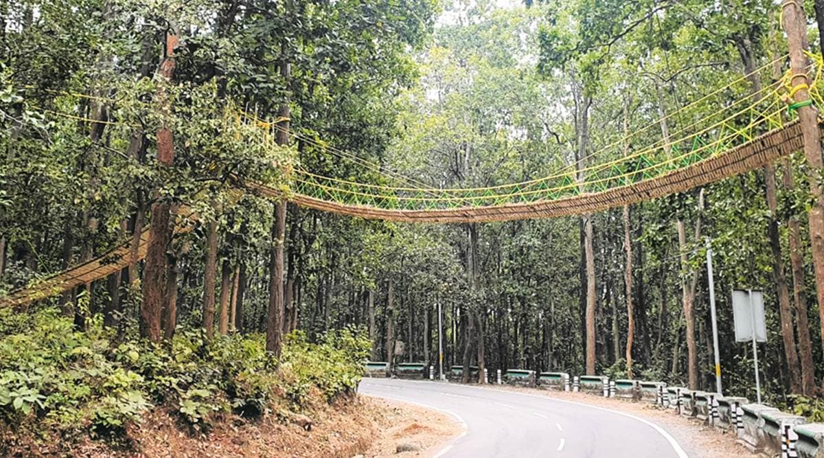 The 90-ft ecobridge on Kaladhungi-Nainital highway. (Express Photo)