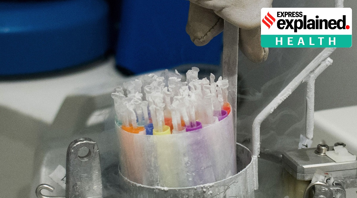 RNA vaccine, mRNA vaccine, What is Moderna vaccine, What is Pfizer vaccine, What is RNA vaccine, RNA vaccine explained