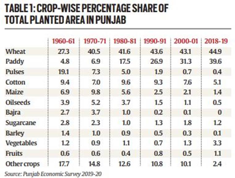 explained-how-can-punjab-achieve-crop-diversification-explained