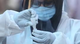 Maharashtra covid deaths, Maharashtra covid cases surge, Maharashtra covid update, covid cases rise in maharashtra, Coronavirus mumbai cases, mumbai news, Ratnagiri coronavirus cases, Beed, Sindhudurg, Raigad, Satara, Amravati coronavirus cases, Maharashtra news, Maharashtra government, India news, indian express