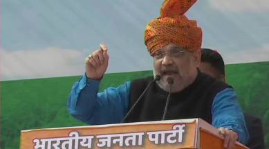 Union Home Minister Amit Shah, Indian economy