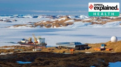 covid in antarctica, coronavirus in antarctica, antarctica covid-19, antarctica india camp, india camps antarctica coronavirus, express explained