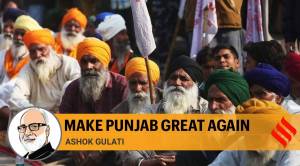 Punjab needs a package to help it diversify output, overcome MSP trap