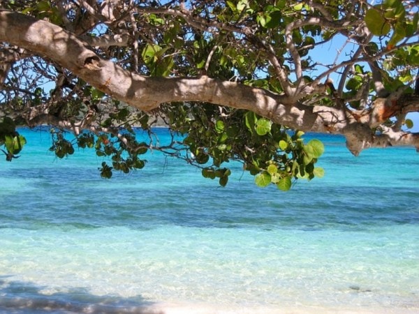 remote work visa, tourists, remote working, workations, digital nomads, countries offering remote work visa to tourists, yearender 2020, pandemic year, travelling, indian express news
