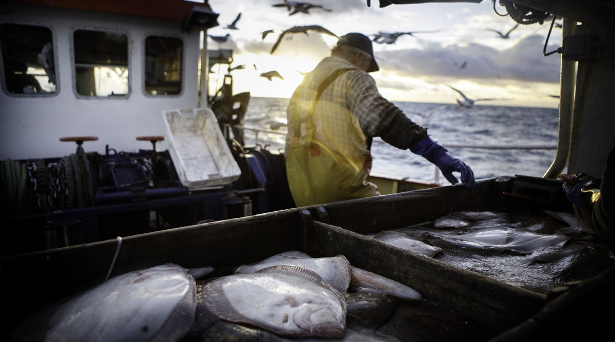 Brexit, Britain Fishing, Brexit trade deal