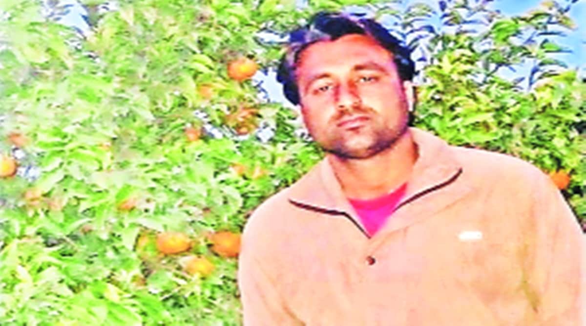 farm laws 2020, punjab crops, kinnow msp, potato prices punjab, jalandhar, indian express