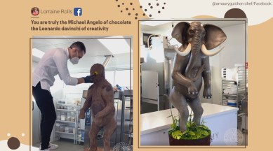 Chocolate elephant, elephant sculpture, Chocolate elephant sculpture, Amaury Guichon chocolate elephant sculpture, Chocolate sculpture, Amaury Guichon videos, Trending news, Indian Express news