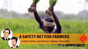 Why should Indian agriculture be liberalised when in most countries governments subsidise it?