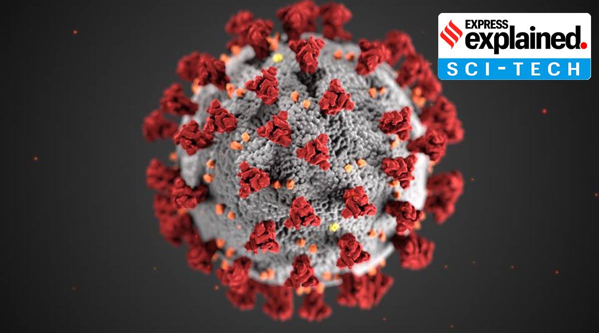 Mutated coronavirus in UK: implications