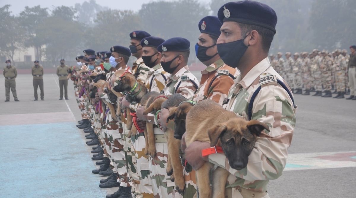 Galwan, Daulat, Rezang: Why ITBP named its dog squad members after Ladakh  standoff points | India News,The Indian Express