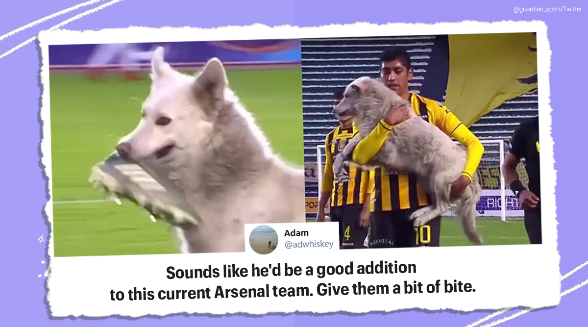 A Dog Invaded a Europa League Match and Got Petted by a Player