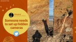 Monolith, Isle of Wight, Fourth Monolith, Isle of Wight monolith, reflective monolith Isle of Wight, three-sided pillar, Mystery monolith, Silver pillar Isle of Wight, England Monolith, Monolith in England, Trending news, Indian Express news.