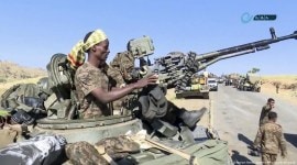Ethiopia Tigray Conflict, Ethiopian forces