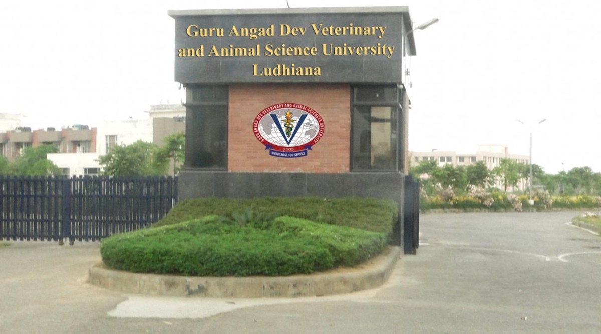 GADVASU bags first spot among state veterinary universities in ICAR  rankings | Education News,The Indian Express