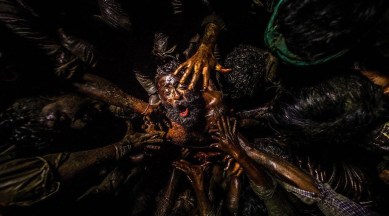 Jallikattu, Jallikattu north america release