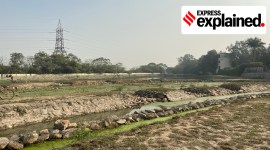 Manmade wetlands, Wetlands, Yamuna